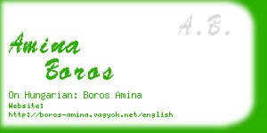 amina boros business card